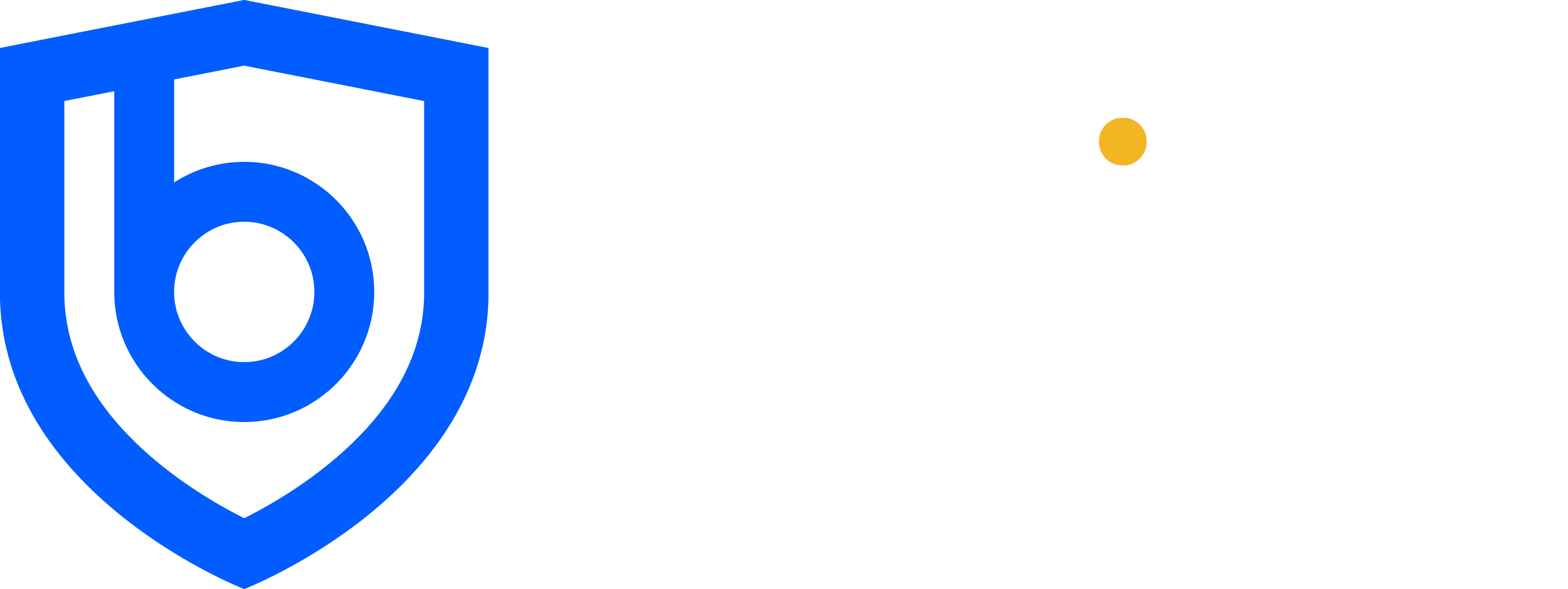 BShield - Client side protection